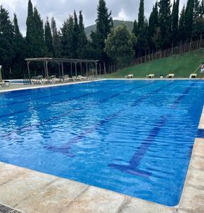 Swimmingpoolen hos eller tæt på Casa Tío Romana Somhome