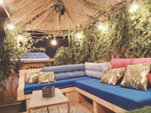 un sofá azul en una habitación con plantas en Maison Belle Époque & suites, en Oristano
