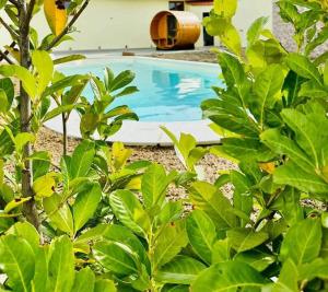 a swimming pool surrounded by green plants at Bolhas da Montanha in Ribas