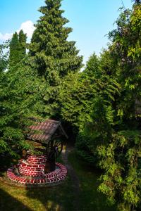 un jardín con un árbol y un alimentador de aves en Pokoje gościnne „SEN” en Iława