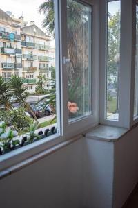 Pokój z 2 oknami z widokiem na budynek w obiekcie Central Apartment in Belas, Lisbon w mieście Belas