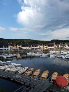 Příroda nedaleko apartmánu