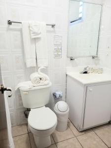 a white bathroom with a toilet and a sink at Parador El Buen Cafe in Hatillo