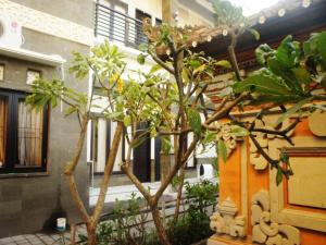 a small tree in front of a building at Wana Kubu Homestay in Kuta
