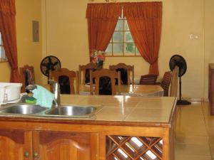 Mynd úr myndasafni af OceanView Villa í Buccoo