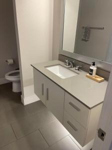 a bathroom with a sink and a mirror and a toilet at Studio Apartment - San Antonio Southtown in San Antonio