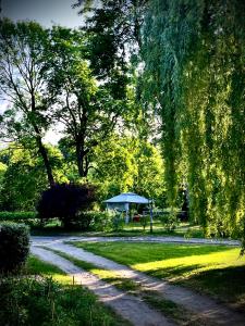 un camino en un parque con cenador y árboles en Agroturystyka Hotel Noclegi Pałac Camping, en Wałcz