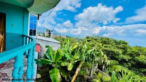 einen Balkon eines Hauses mit Blick auf die Bäume in der Unterkunft Samay Hostel in Juayúa