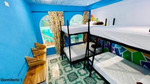 Cette chambre comprend 2 lits superposés et un mur bleu. dans l'établissement Samay Hostel, à Juayúa