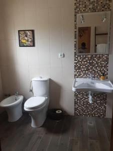 a bathroom with a toilet and a sink at Oliveira Country House in Figueira e Barros