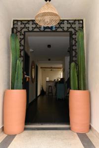 two large orange vases with cactus in front of a mirror at Trip Monkey Zona G in Bogotá