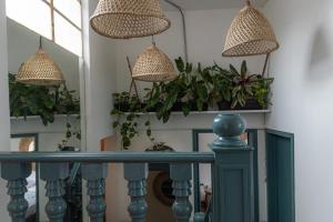 a staircase with potted plants and three lamps at Trip Monkey Zona G in Bogotá
