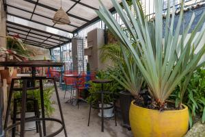 uma planta grande num vaso amarelo grande num restaurante em Trip Monkey Zona G em Bogotá