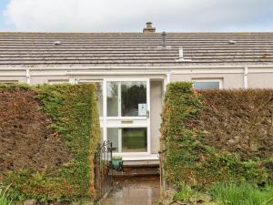 a house with a window and two bushes at New Cottage in Wooler