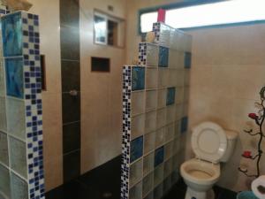 La salle de bains est pourvue de toilettes et d'une douche carrelée. dans l'établissement Cabaña Luna Verde, à San Vicente
