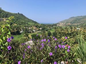 um campo de flores roxas com montanhas ao fundo em Lombok Khophilauvillas em Kuta Lombok