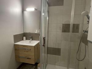een badkamer met een douche en een wastafel bij Appartement Praz-sur-Arly, 1 pièce, 5 personnes - FR-1-603-79 in Praz-sur-Arly