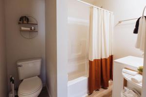 Un baño con inodoro y ducha en Sage Haven #2, en Johnson City 20 fotos más