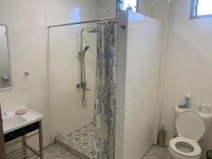 un bagno con doccia, wc e lavandino di Samoa Business Apartments 2 ad Apia Altre 17 foto
