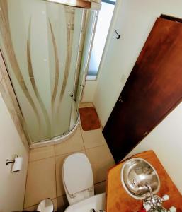 y baño pequeño con aseo y ducha. en SMA AltoRoca7, en San Martín de los Andes
