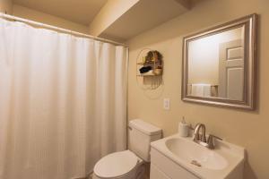 a bathroom with a toilet and a sink and a mirror at Sage Haven #6 in Johnson City