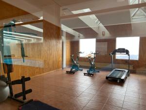 a gym with treadmills and exercise bikes in a room at Departamento MBlanc, Ski El Colorado,, Salida a Canchas, Piscina in Santiago