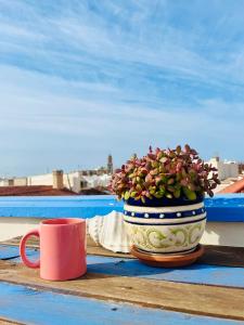 a plant in a pot sitting on a table with a cup at Charming home with private terrace,heart of Málaga in Málaga