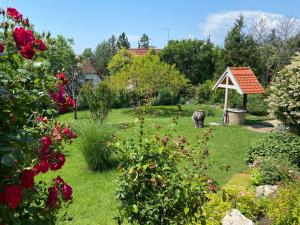 Vonkajšia záhrada v ubytovaní Balatonfüred - Péter apartman