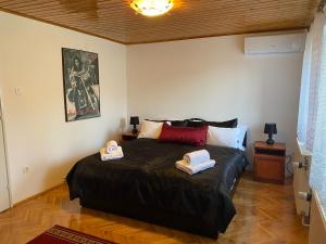 Posteľ alebo postele v izbe v ubytovaní Balatonfüred - Péter apartman