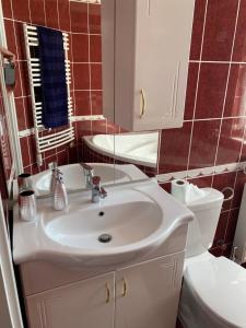 Kúpeľňa v ubytovaní Balatonfüred - Péter apartman