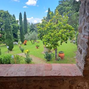 a view of a garden with a tree and a park at PODERE Piazza di Sopra in Reggello