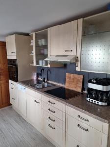 Katzow的住宿－Storchenhof Engel，厨房配有白色橱柜和水槽