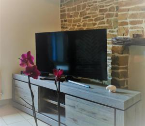 TV a/nebo společenská místnost v ubytování Les 4 Arbres