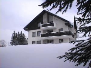 pension Jesen during the winter