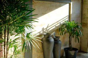 Fotografie z fotogalerie ubytování Ahamta Ubud by Prasi v Ubudu
