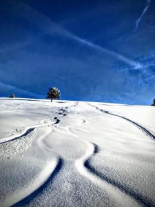 Zur Brücke apartments and rooms - Your home in heart of South Tyrol, with Brixencard v zimě