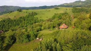 a house on a hill in a green field at Almost Heaven - cabană cu vedere în Apuseni in Cîmpeni