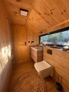 a bathroom with a toilet and a sink at Szumi Las 