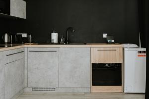 una cucina con lavandino e lavastoviglie di Silesia Apartments a Katowice