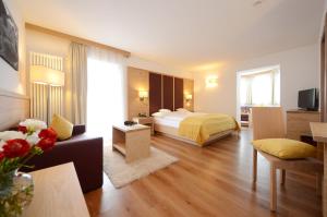 TV a/nebo společenská místnost v ubytování Hotel Gran Paradis