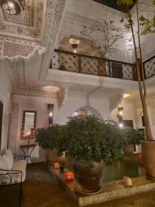 a lobby with a potted plant and a ceiling with candles at Riad Les Nuits de Marrakech in Marrakech