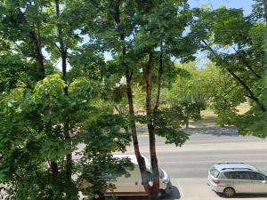 un'auto parcheggiata in un parcheggio vicino agli alberi di NarvaCenter 2, рядом с границей a Narva