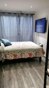 1 dormitorio con 1 cama y TV de pantalla plana en Contenedores Maritimos, en Ciudad de México