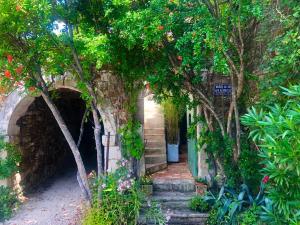 un arco con alberi e fiori in un giardino di Mas Luis Alvarez a La Capelle-et-Masmolène Altre 37 foto