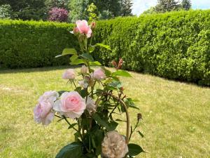 a vase filled with pink roses in a yard at Ferienwohnung Heidehummel in Lübbenau