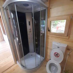 a small bathroom with a toilet and a shower at Lakehouse Alisa in Bajina Bašta