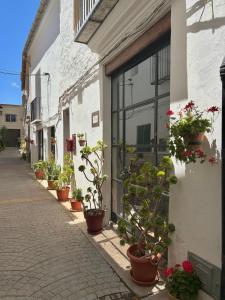 Apartamentos turísticos "El Refugio" في Algar de Palancia: شارع فيه نباتات الفخار على جانب المبنى
