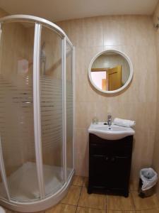 uma casa de banho com um chuveiro, um lavatório e um espelho. em Apartamentos Mirador em Gúdar