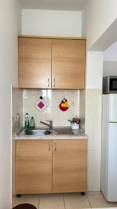 una cucina con armadi in legno e lavandino di Apartments Tiho & Jelena a Blace