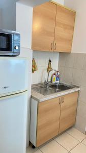 a kitchen with a sink and a white refrigerator at Apartments Tiho & Jelena in Blace